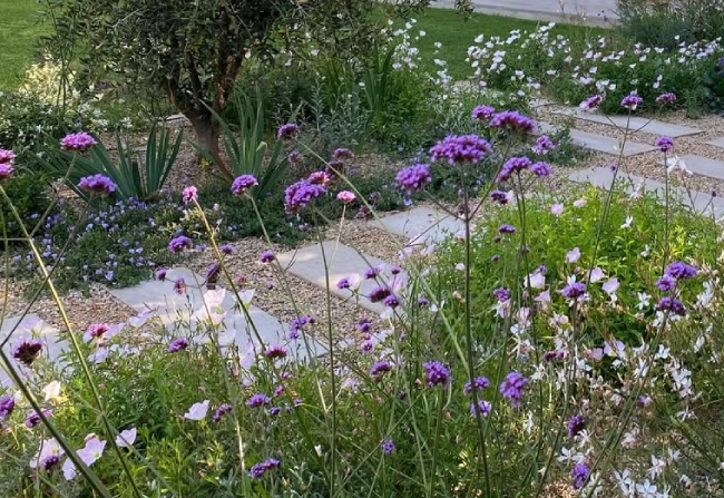 pergola bioclimatique
