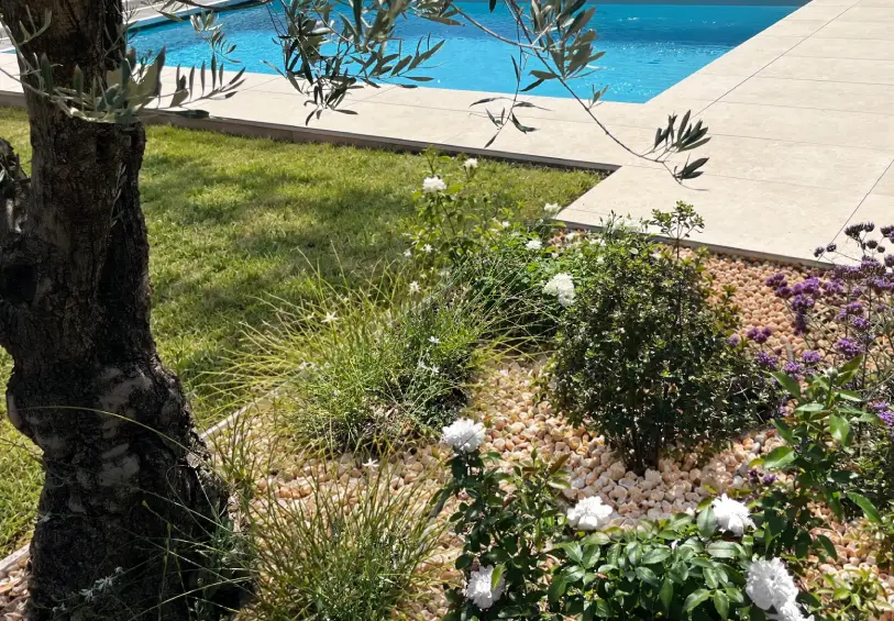jardin contemporain piscine poolhouse