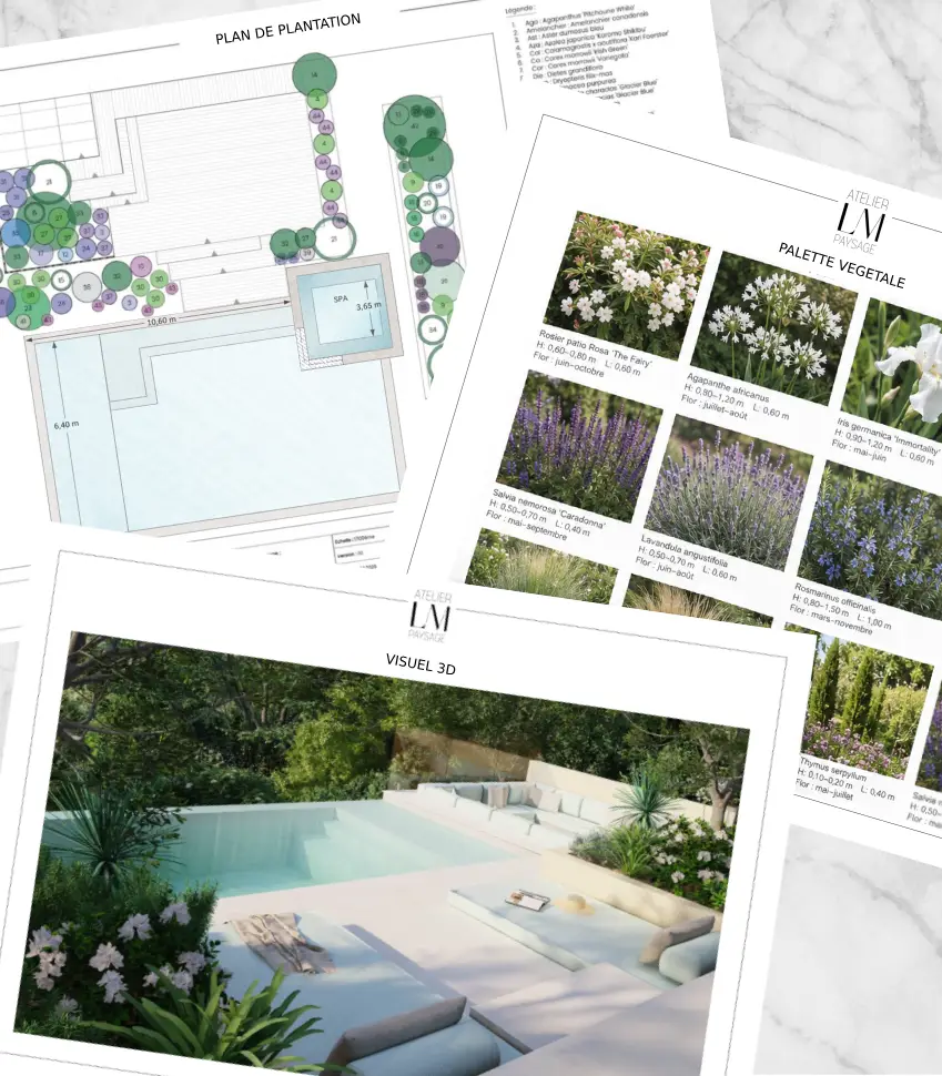 Paysagiste designer et arboriste